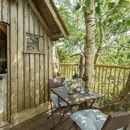 فيلا The Treehouse At Salcombe Farm المظهر الخارجي الصورة