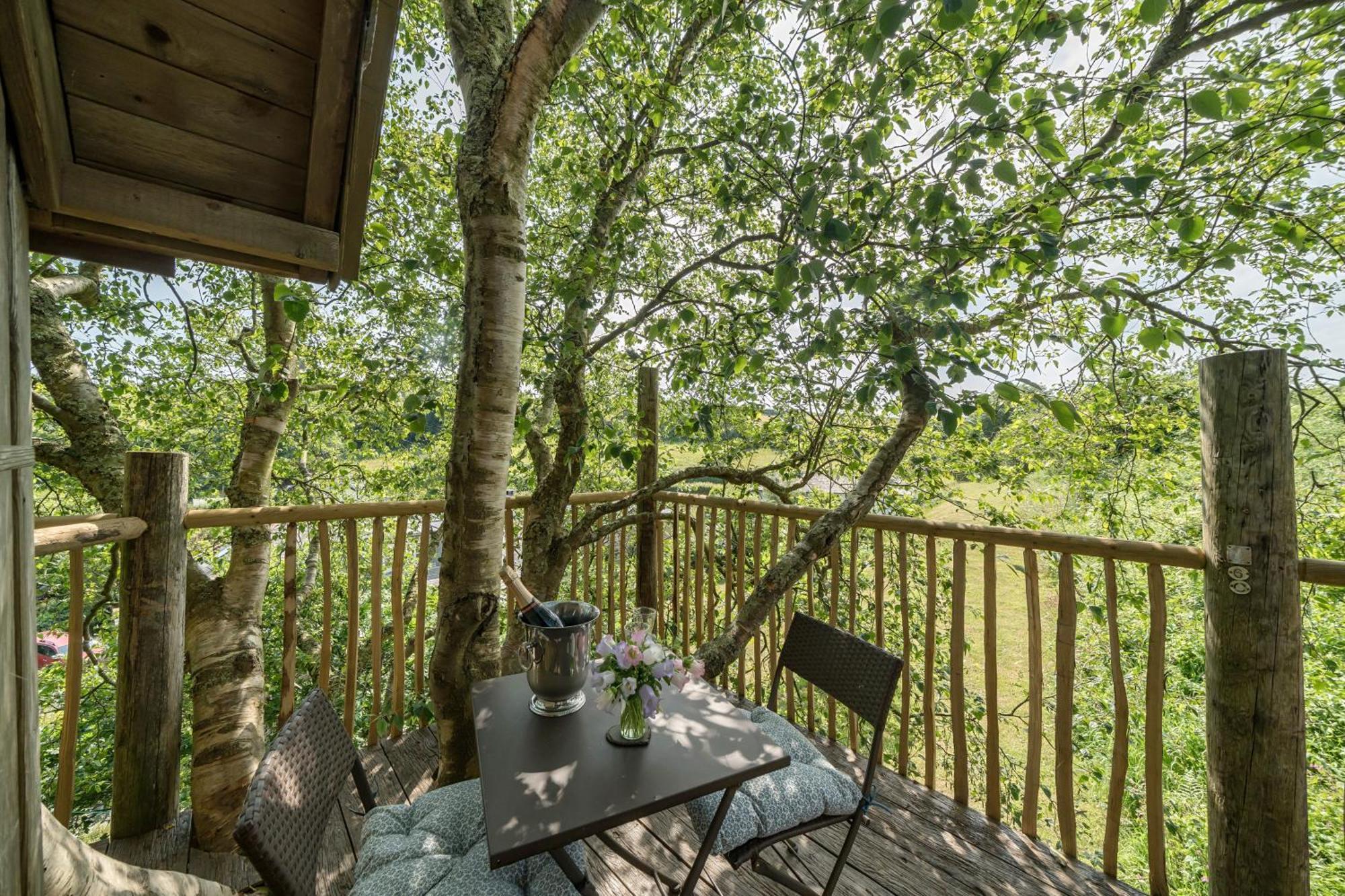 فيلا The Treehouse At Salcombe Farm المظهر الخارجي الصورة