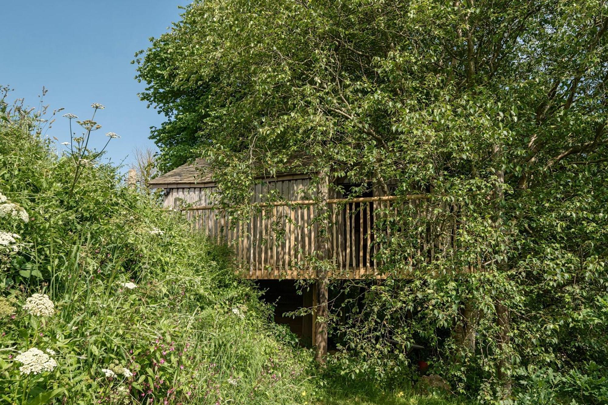 فيلا The Treehouse At Salcombe Farm المظهر الخارجي الصورة