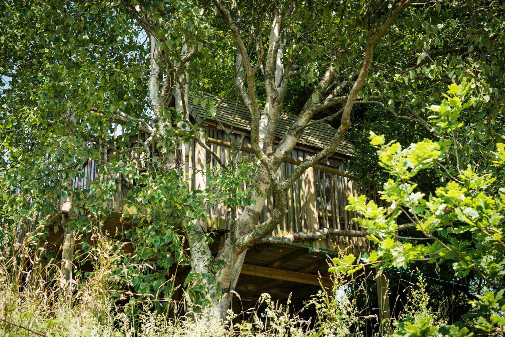 فيلا The Treehouse At Salcombe Farm المظهر الخارجي الصورة